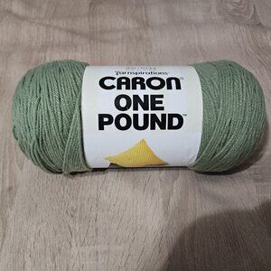 Caron One Pound 100% Acrylic Yarn 10655 Succulent 812 Yards - 16oz - #4 Worsted